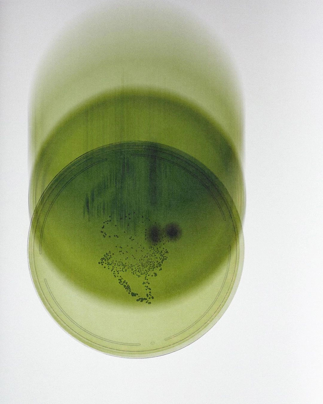 Arte Estética Verde